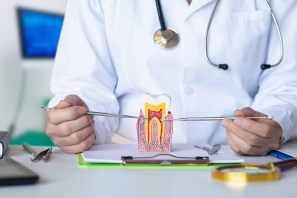 Best Emergency Care for Gum Disease in Vancleave, MS